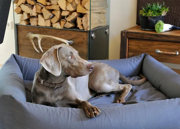 Lodge Luxuslodge - Zeit Zum Leben *